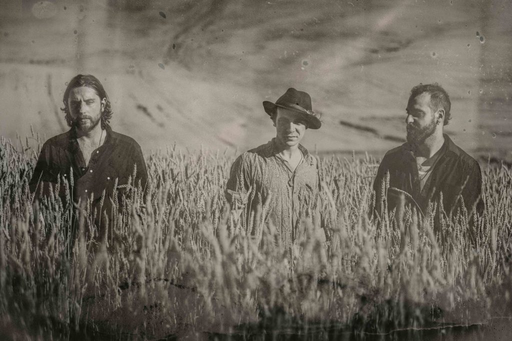 Dust The Dukes