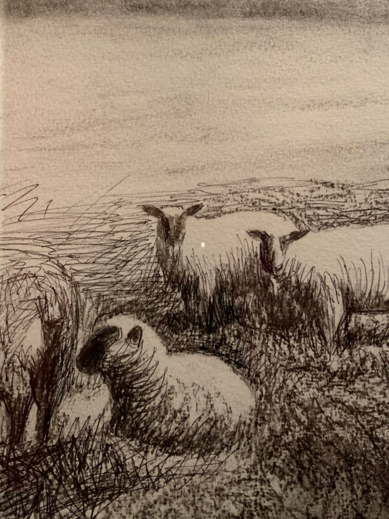 Henry Moore PECORE
