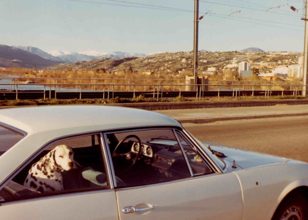 ERIK KESSELS_Walk the Dog Gallery (1)