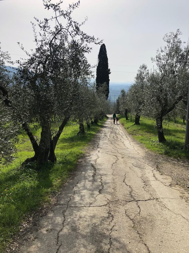 6 settignano