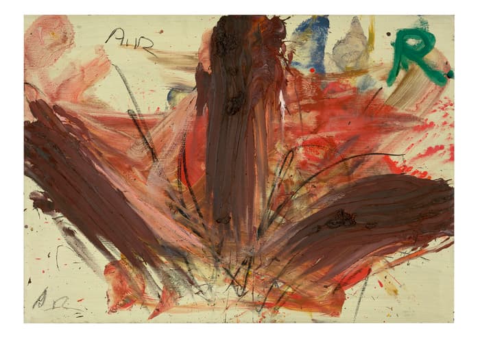 mostra arnulf rainer firenze